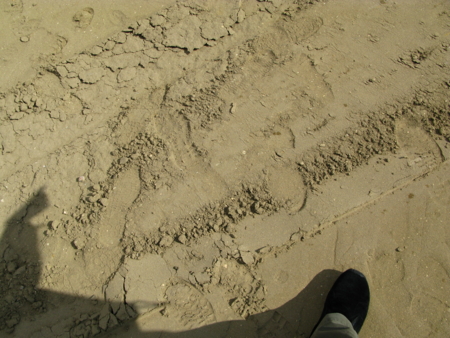 f:id:Imamura:20100206112827j:plain