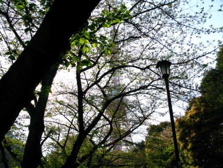 f:id:Imamura:20100417155926j:plain