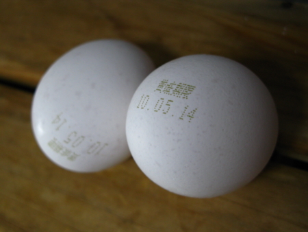 f:id:Imamura:20100505113641j:plain