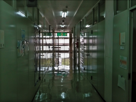 f:id:Imamura:20100902182712j:plain