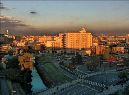 f:id:Imamura:20101110162732:plain