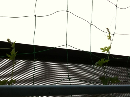 f:id:Imamura:20110708123451j:plain