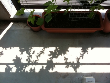 f:id:Imamura:20110727074010j:plain