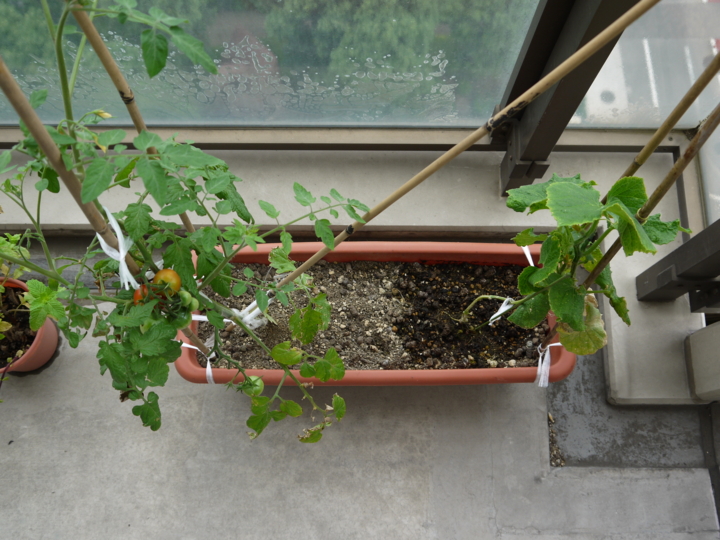 f:id:Imamura:20120705093604j:plain f:id:Imamura:20120705093604j:plain