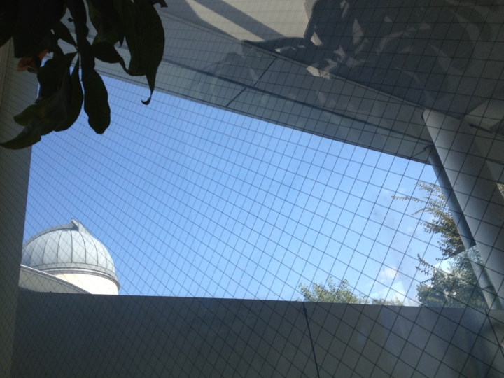 f:id:Imamura:20121020123116j:plain