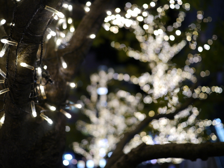 f:id:Imamura:20121120191939j:plain