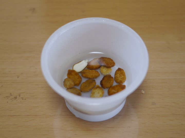 f:id:Imamura:20130324090438j:plain