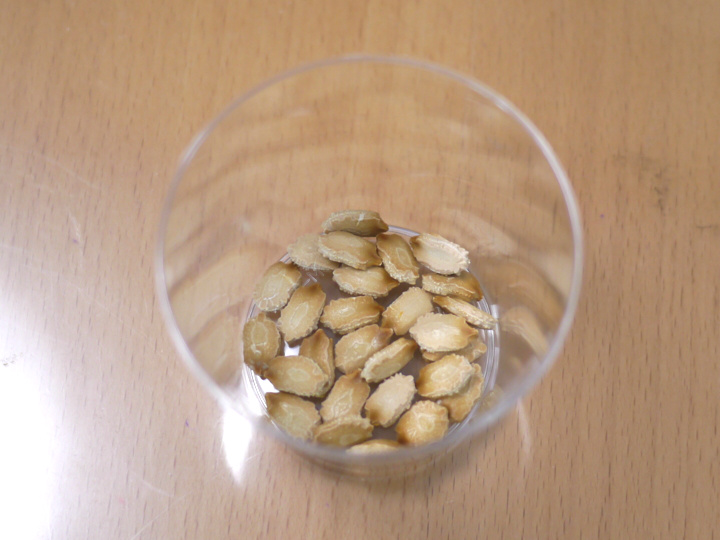 f:id:Imamura:20130711091938j:plain f:id:Imamura:20130711091938j:plain