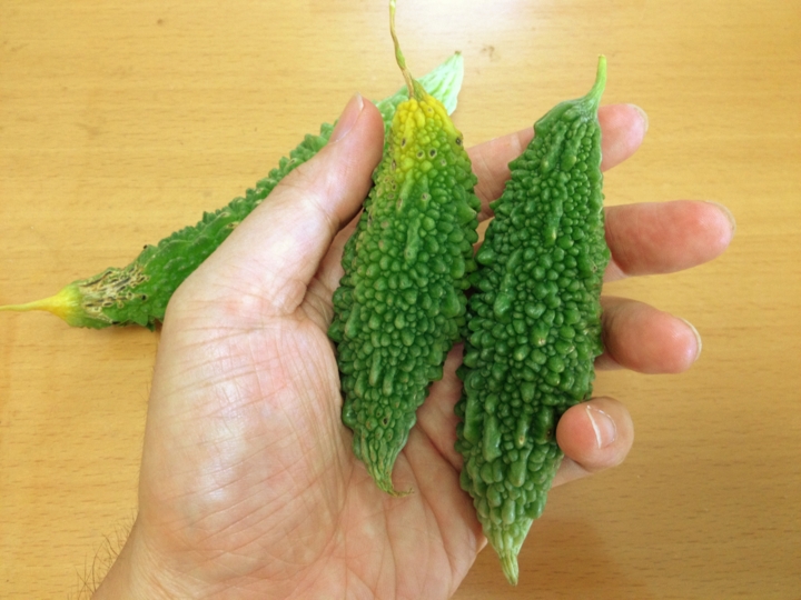 f:id:Imamura:20130719123046j:plain