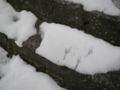 雪の上に鳥の足跡