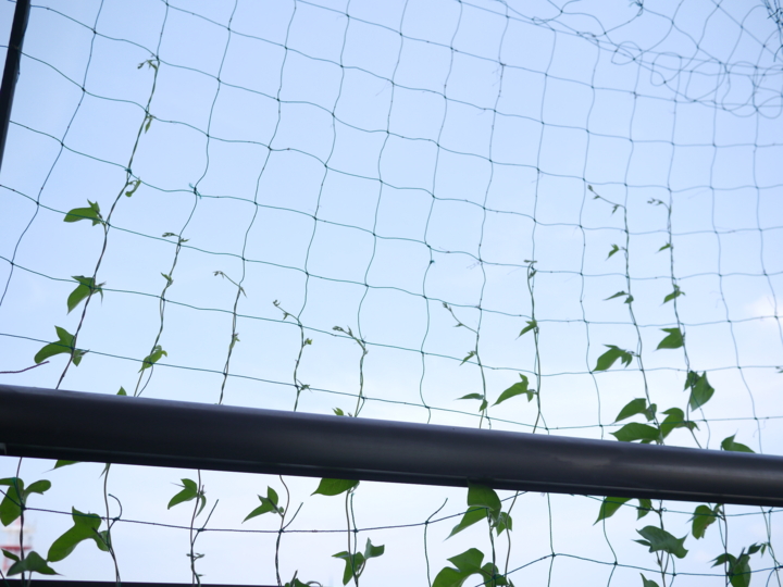 f:id:Imamura:20140623095948j:plain
