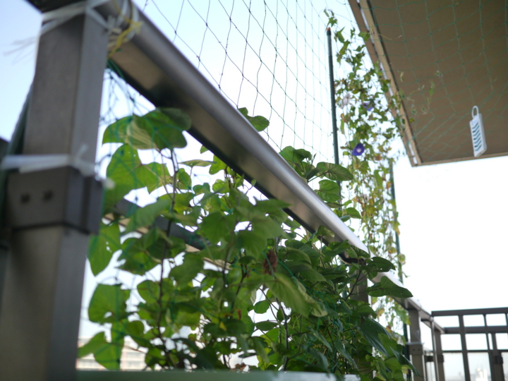 f:id:Imamura:20140729081602j:plain