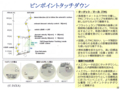 20140901011052