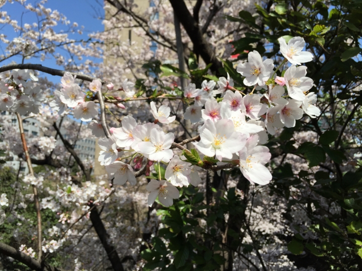 f:id:Imamura:20150331113347j:plain