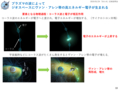 2019/01/24あらせ