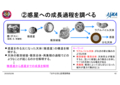 190206はやぶさ2