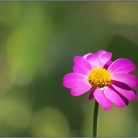 https://cdn-ak.f.st-hatena.com/images/fotolife/I/Imamura/20230411/20230411211727_original.jpg