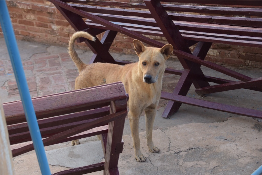 f:id:Imknto:20191107134128j:image