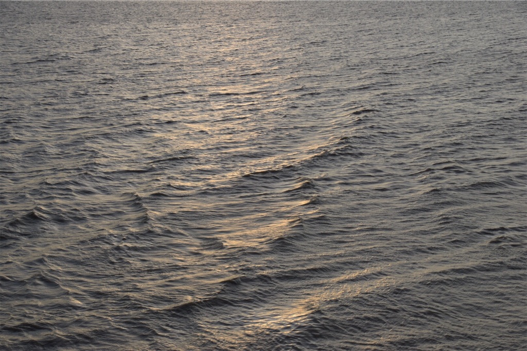 f:id:Imknto:20191107134220j:image