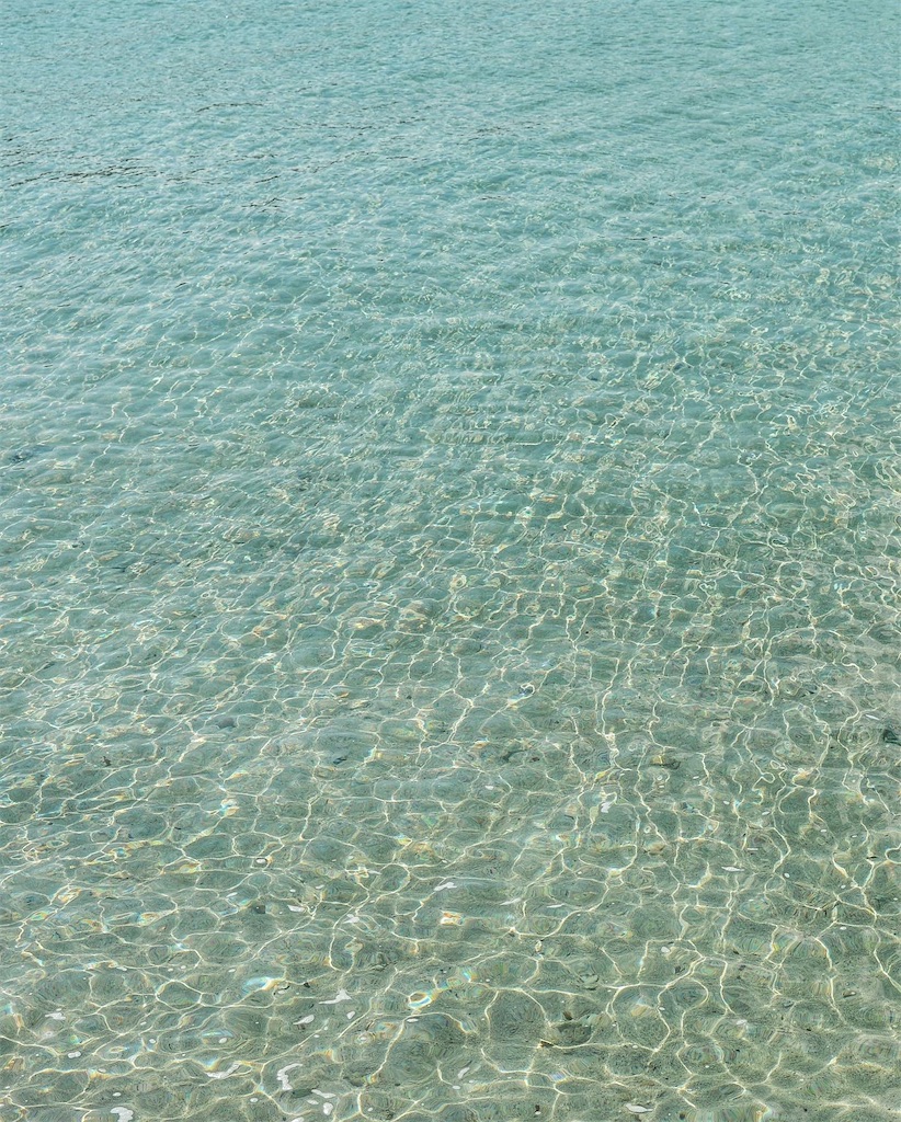 f:id:Imknto:20210302100736j:image