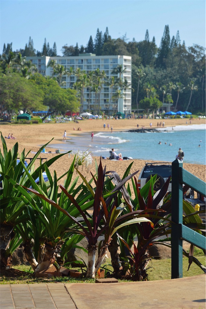 f:id:Imknto:20240507133637j:image f:id:Imknto:20240507133637j:image