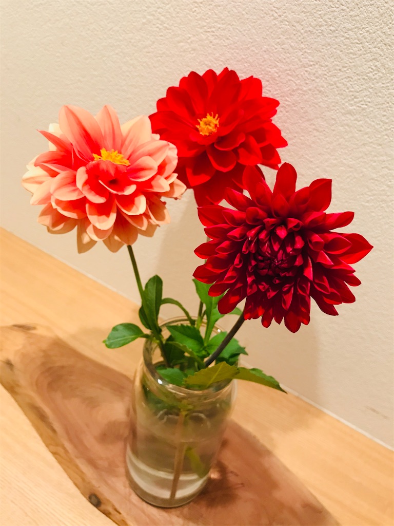 f:id:InLakech:20201022180907j:image