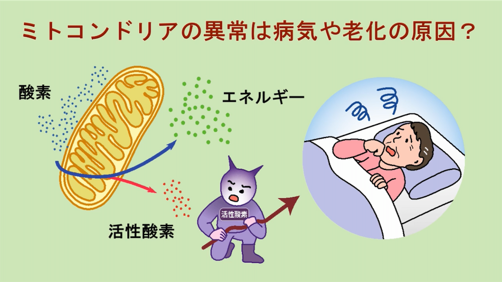 f:id:InLakech:20210415004604p:image