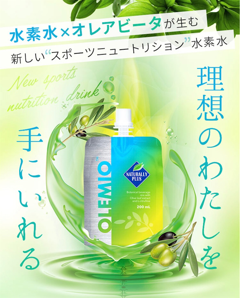 f:id:InLakech:20210421091057j:image