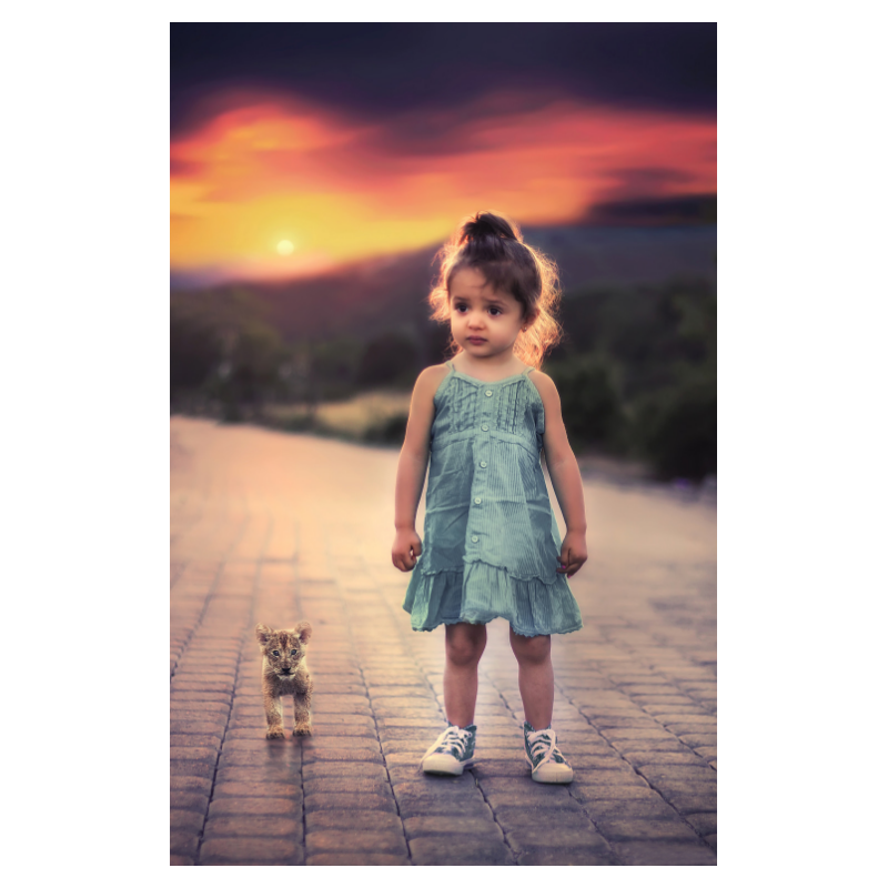 f:id:Infoment:20190408220735p:plain