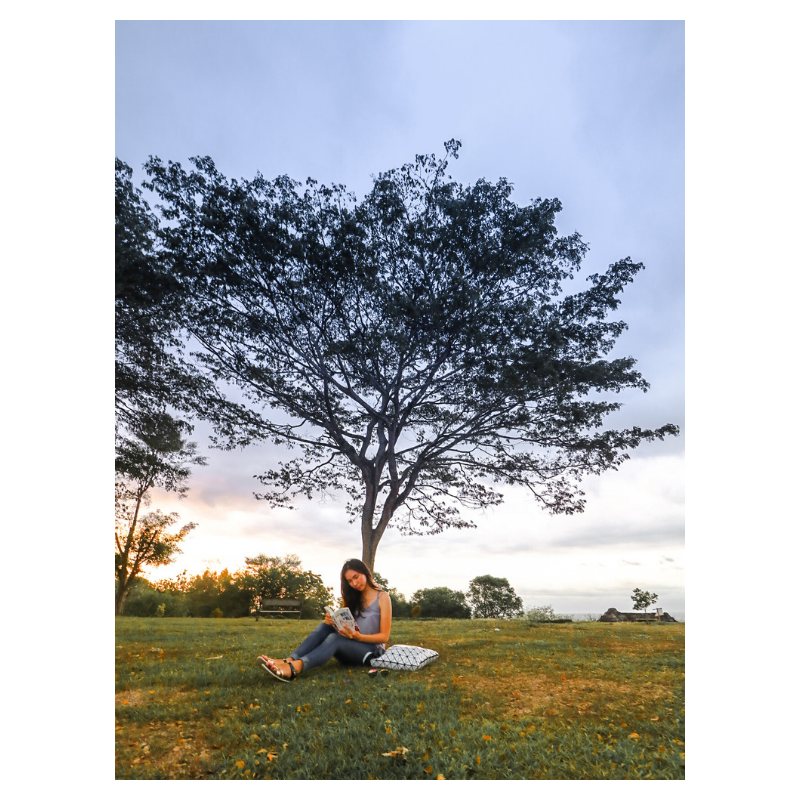 f:id:Infoment:20190509222847p:plain