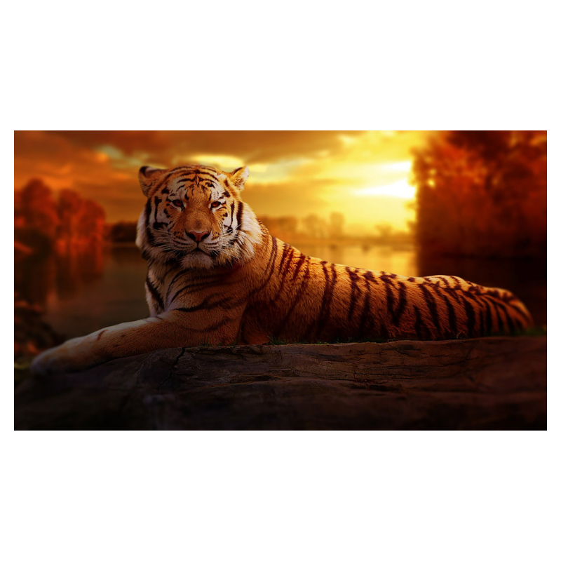 f:id:Infoment:20190719230040p:plain