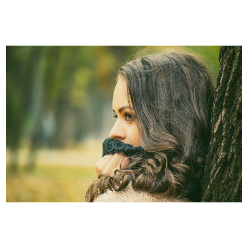 f:id:Infoment:20191109180916p:plain