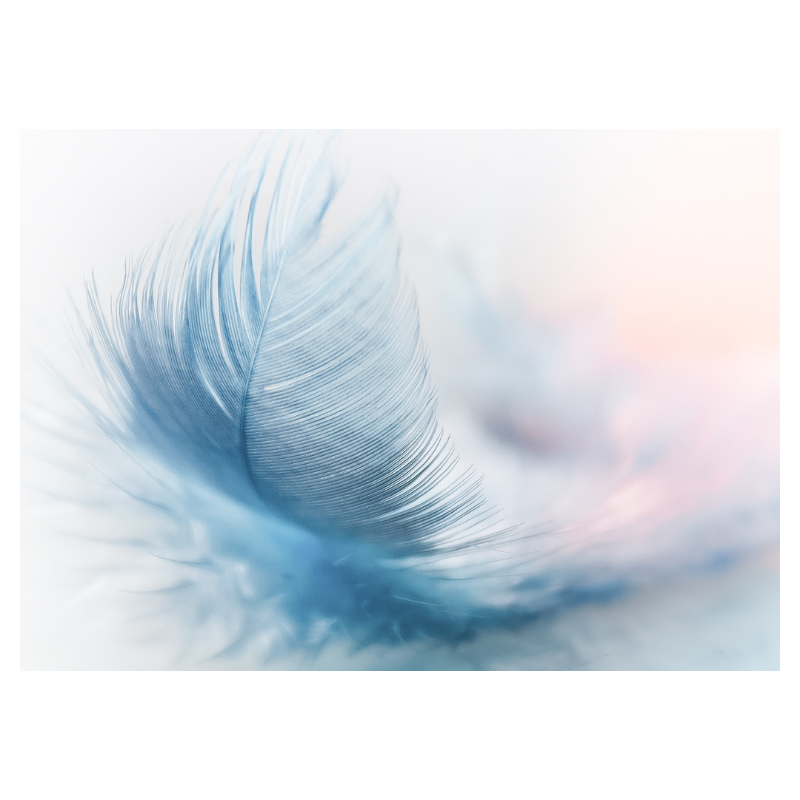 f:id:Infoment:20191111221149p:plain
