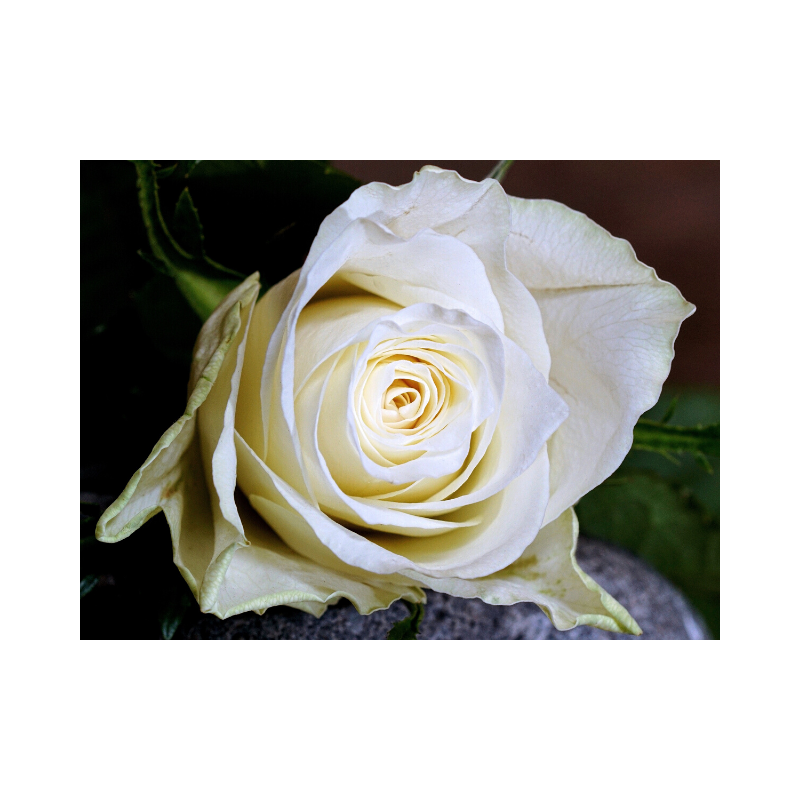 f:id:Infoment:20191123225913p:plain f:id:Infoment:20191123225913p:plain