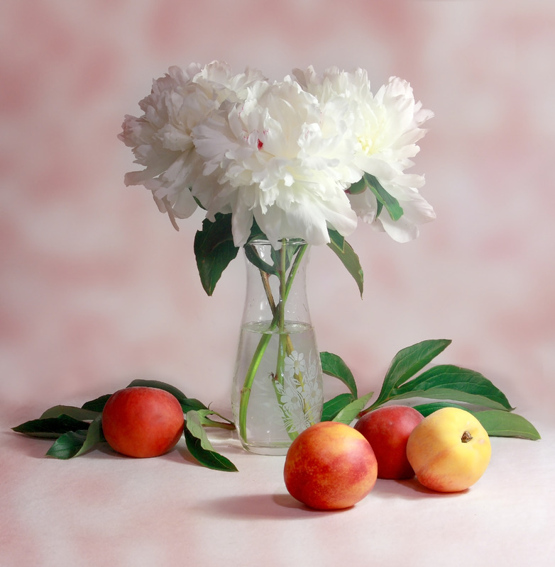 f:id:Infoment:20200320230126j:plain