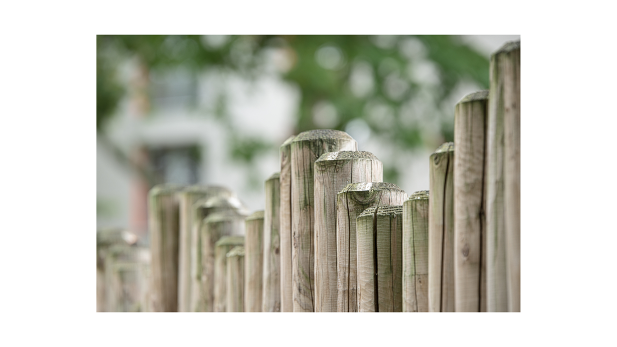 f:id:Infoment:20201210225801p:plain