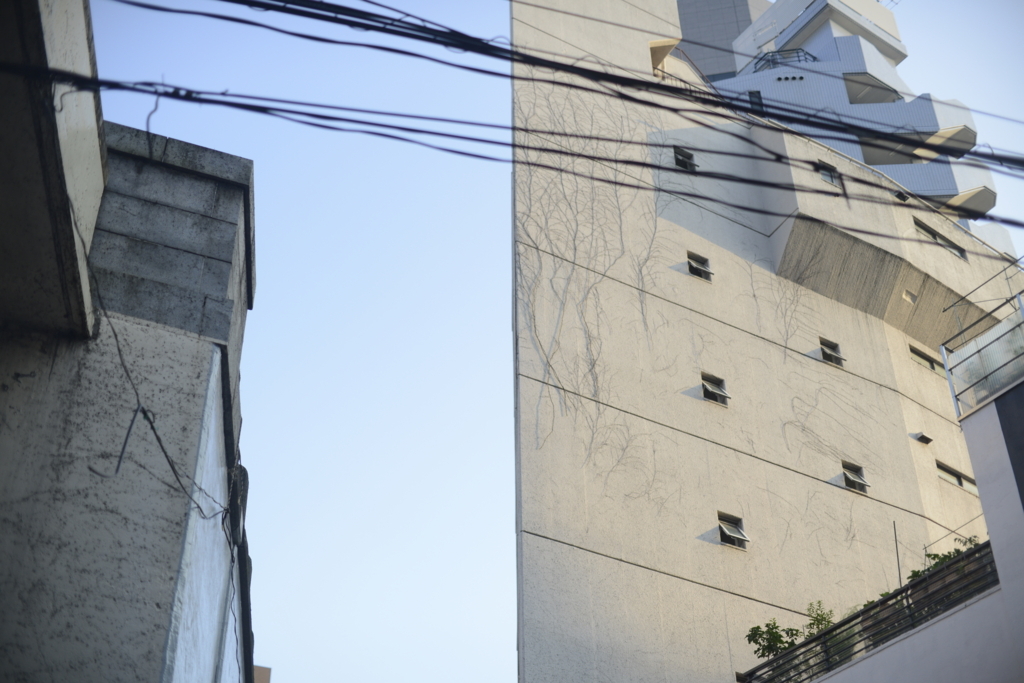 f:id:Inoue3:20180630195709j:plain f:id:Inoue3:20180630195709j:plain