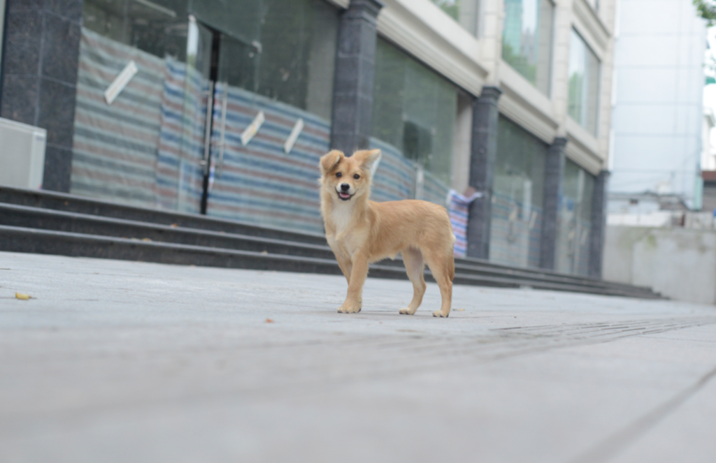 f:id:Inoue3:20180908123629p:plain f:id:Inoue3:20180908123629p:plain