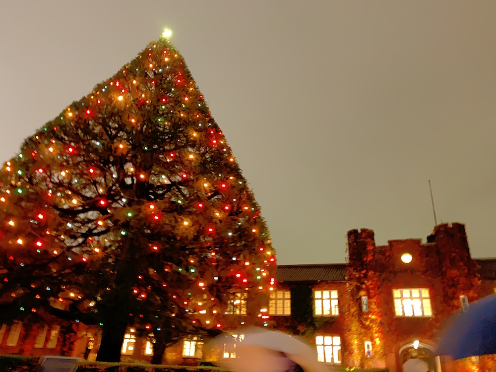 f:id:Inoue3:20191212200337j:plain f:id:Inoue3:20191212200337j:plain