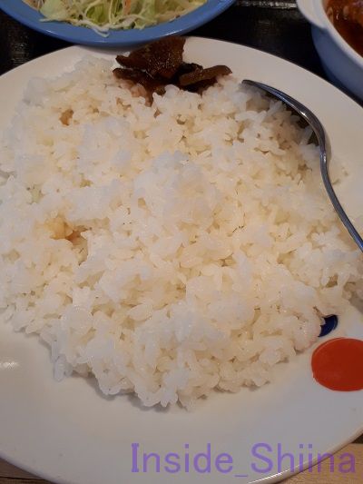 ごろごろチキンのトマトカレー生野菜セット