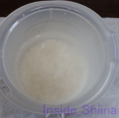 サーモスごはんが炊ける弁当箱