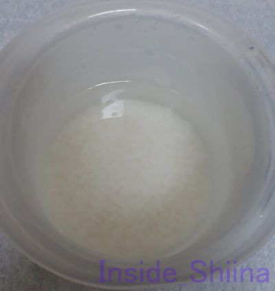 サーモスごはんが炊ける弁当箱