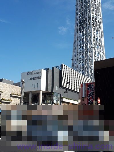 スカイツリーと水族館