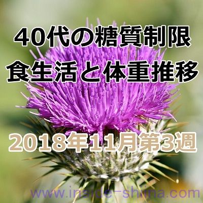 40代の糖質制限2018年11月第3週