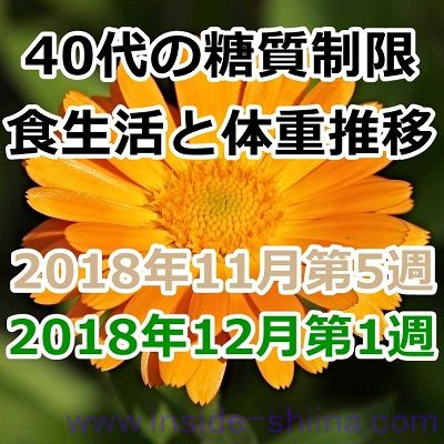 40代の糖質制限2018年11月第5週と12月第1週