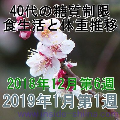 40代の糖質制限2018年12月第6週と2019年1月第1週