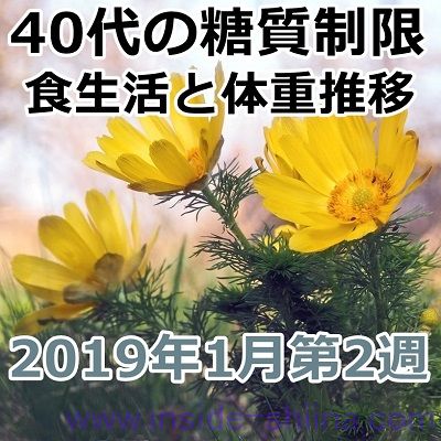 40代の糖質制限2019年1月第2週
