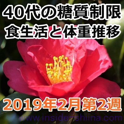 40代の糖質制限2019年2月第2週