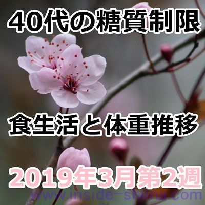 40代の糖質制限2019年3月第2週