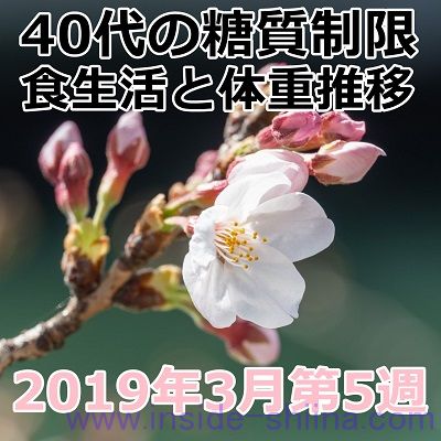 40代の糖質制限2019年3月第5週
